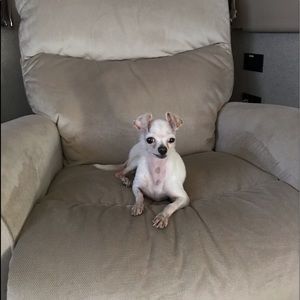 Meet your Posher, Holly